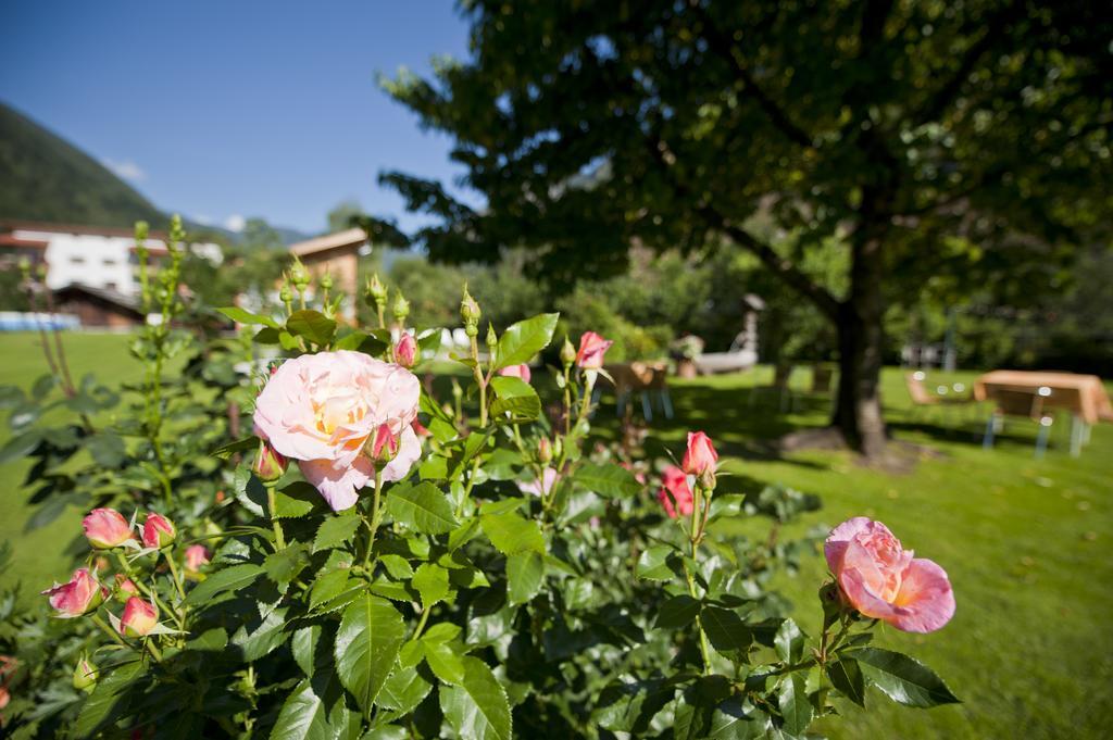 Zur Bruecke - Your Home In Heart Of South Tyrol, With Brixencard And Free Parking Фортецца Экстерьер фото